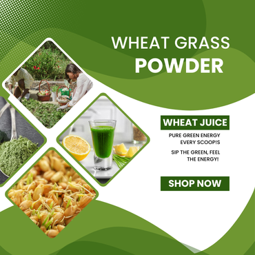 Nutra Organic Wheatgrass Juice Powder - Sustainably Grown - Instant Wheat Grass Juice Powder Made from Concentrated Juice - More Potent Than Organic Wheatgrass Powder