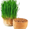 Nutra Organic Wheatgrass Juice Powder - Sustainably Grown - Instant Wheat Grass Juice Powder Made from Concentrated Juice - More Potent Than Organic Wheatgrass Powder